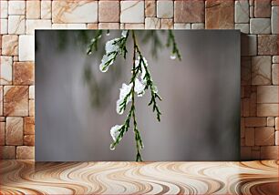 Πίνακας, Icy Pine Branch Παγωμένο Κλαδί Πεύκου