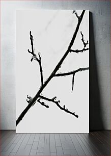 Πίνακας, Icy Tree Branch Παγωμένο κλαδί δέντρου