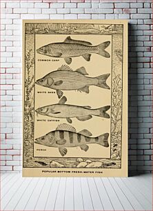 Πίνακας, Identifier: bookoffishfishin00rhea (find matches)Title: The book of fish and fishing;Year: 1908 (1900s)Authors: Rhead, Louis, 1857-1926Subjects: FishingPublisher: New York, C