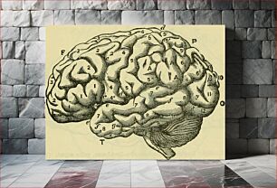 Πίνακας, Identifier: brainasorganofmi00bast (find matches)Title: The brain as an organ of mindYear: 1896 (1890s)Authors: Bastian, H