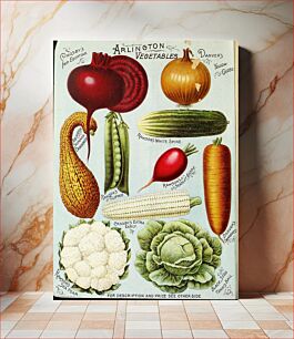 Πίνακας, Identifier: illustratedhandb1895wwra (find matches)Title: Illustrated hand book : Rawson's vegetable & flower seeds / W