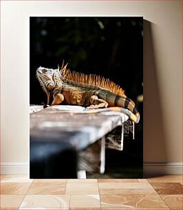 Πίνακας, Iguana on a Wooden Surface Ιγκουάνα σε ξύλινη επιφάνεια