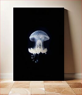 Πίνακας, Illuminated Jellyfish in the Dark Φωτιζόμενη μέδουσα στο σκοτάδι