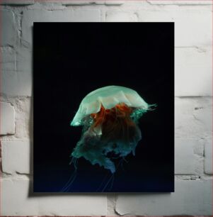 Πίνακας, Illuminated Jellyfish in the Depths Φωτιζόμενη μέδουσα στα βάθη