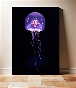 Πίνακας, Illuminated Jellyfish Φωτιζόμενη μέδουσα