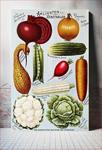 Πίνακας, Illustrated hand book - Rawson's vegetable and flower seeds (1895) chromolithograph art by W.W. Rawson and Co