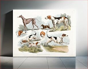 Πίνακας, Illustration of hunting dogs from Sporting Sketches (1817-1818) by Henry Alken (1784-1851)