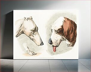 Πίνακας, Illustration of two dog's heads and paw from Sporting Sketches (1817-1818) by Henry Alken (1784-1851)