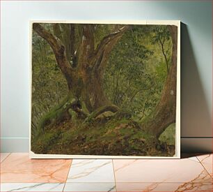 Πίνακας, In the woods, Jamaica, Frederic Edwin Church