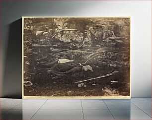 Πίνακας, Incidents of the War: A Sharpshooter's Last Sleep