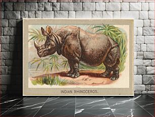 Πίνακας, Indian Rhinoceros, from the Animals of the World series (T180), issued by Abdul Cigarettes