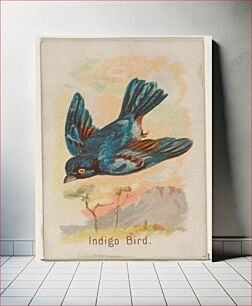 Πίνακας, Indigo Bird, from the Song Birds of the World series (N23) for Allen & Ginter Cigarettes