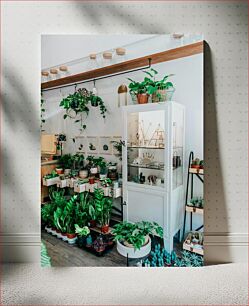 Πίνακας, Indoor Plant Arrangement Διαρρύθμιση φυτών εσωτερικού χώρου