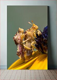 Πίνακας, Insect Duo on Flower Insect Duo on Flower