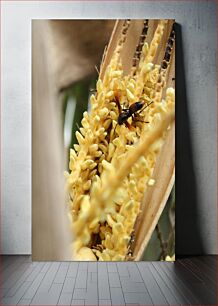 Πίνακας, Insect on Flower Έντομο στο λουλούδι