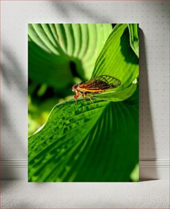 Πίνακας, Insect on Leaf Έντομο σε φύλλο