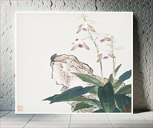Πίνακας, Insects and Flowers (Qing dynasty ca. 1644–1911) by Ju Lian