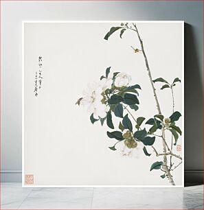 Πίνακας, Insects and Flowers (Qing dynasty ca. 1644–1911) by Ju Lian