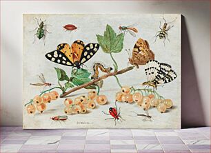 Πίνακας, Insects and Fruits (1660–1665) by Jan van Kessel