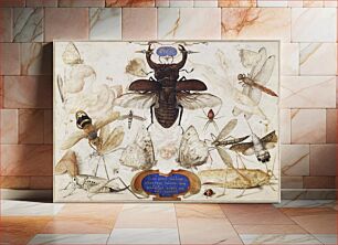 Πίνακας, Insects and the Head of a Wind God (1590–1600) by Joris Hoefnagel