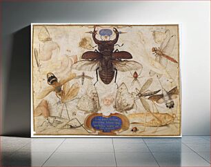 Πίνακας, Insects and the Head of a Wind God (ca. 1590–1600) by Joris Hoefnagel