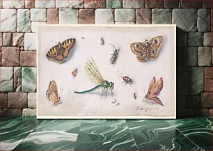Πίνακας, Insects, Butterflies, and a Dragonfly during 17th century by Jan van Kessel