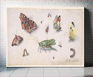 Πίνακας, Insects, Butterflies, and a Grasshopper during 17th century by Jan van Kessel