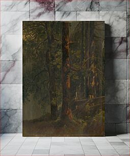 Πίνακας, Interior of forest, Karol ľudovít Libay