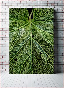 Πίνακας, Intricate Leaf Pattern Περίπλοκο σχέδιο φύλλων