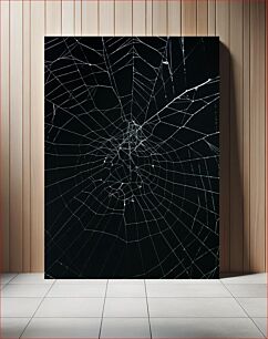 Πίνακας, Intricate Spider Web Περίπλοκος Ιστός Αράχνης