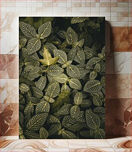 Πίνακας, Intricate Tropical Foliage Περίπλοκο τροπικό φύλλωμα