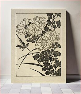 Πίνακας, Ipswich Prints: Chrysanthemum