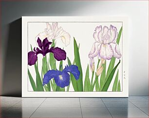 Πίνακας, Iris flower woodblock painting