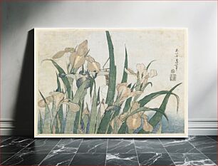 Πίνακας, Irises and Grasshopper (ca.1833–1834) in high resolution by Katsushika Hokusai