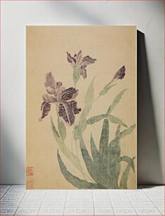 Πίνακας, Irises by Ma Yuanyu