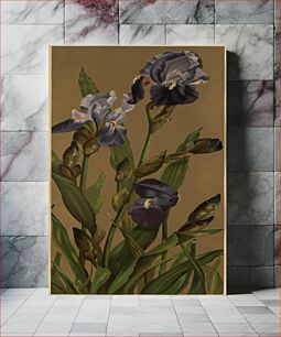 Πίνακας, Irises