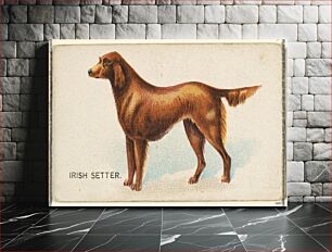 Πίνακας, Irish Setter, from the Dogs of the World series for Old Judge Cigarettes