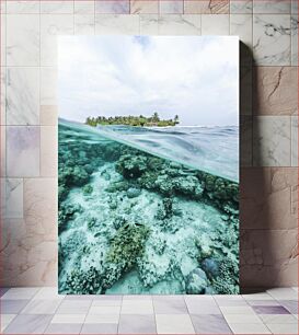 Πίνακας, Island and Coral Reef Νησί και Κοραλλιογενής Ύφαλος