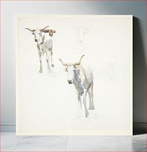 Πίνακας, Italian oxen.Popeye by Peter Hansen