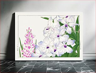 Πίνακας, Ixia flower, Japanese woodblock art