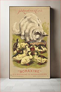 Πίνακας, J. D. Larkin & Co's "Boraxine" is a blessing to housekeepers