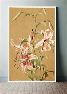 Πίνακας, Japan lily by Ellen Thayer Fisher