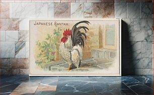 Πίνακας, Japanese Bantam, from the Prize and Game Chickens series (N20) for Allen & Ginter Cigarettes, issued by Allen & Ginter