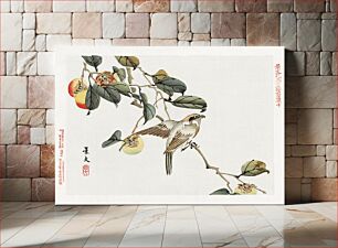 Πίνακας, Japanese bird and persimmon (1892) vintage woodcuts by Matsumura Keiba