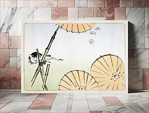 Πίνακας, Japanese cat and umbrella (1877) vintage woodblock print by Shibata Zeshin