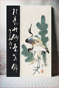 Πίνακας, Japanese cranes and pine branch (19th century) vintage woodblock print by Katsushika Taito II