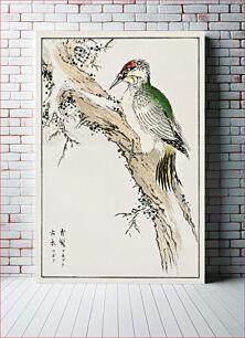 Πίνακας, Japanese Green Woodpecker illustration. Pictorial Monograph of Birds (1885) by Numata Kashu (1838-1901)