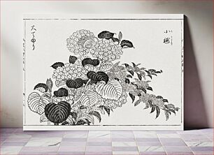 Πίνακας, Japanese hydrangea (1715-1792) vintage woodcut by Tachibana Yasukuni