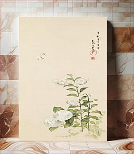 Πίνακας, Japanese hydrangea and lilies (1801) vintage painting by Sakai Hōitsu
