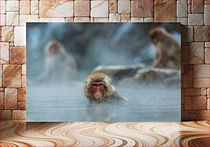 Πίνακας, Japanese Macaque in Hot Spring Ιαπωνικός μακάκος σε θερμή πηγή